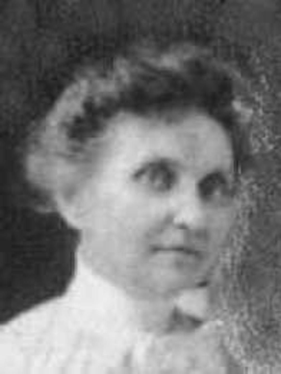 Emelia Eliza Stenhouse (1853 - 1912) Profile